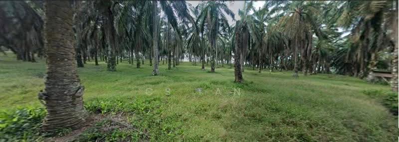 Agricultural Land for Sale in Bentong (Pahang) - CS Tan - PropertyGuru.com.my