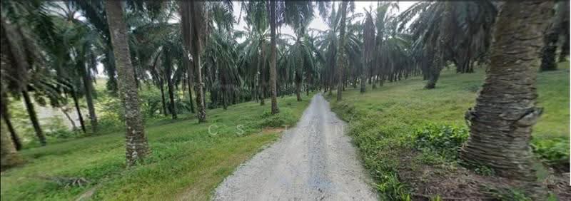 Agricultural Land for Sale in Bentong (Pahang) - CS Tan - PropertyGuru.com.my