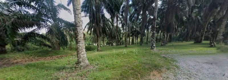 Agricultural Land for Sale in Bentong (Pahang) - CS Tan - Garden - PropertyGuru.com.my