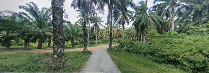 Agricultural Land for Sale in Bentong (Pahang) - CS Tan - PropertyGuru.com.my