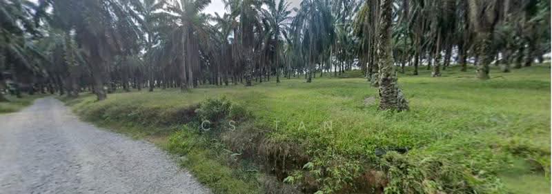 Agricultural Land for Sale in Bentong (Pahang) - CS Tan - PropertyGuru.com.my