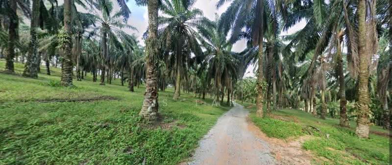 Agricultural Land for Sale in Bentong (Pahang) - CS Tan - PropertyGuru.com.my