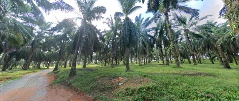 Agricultural Land for Sale in Bentong (Pahang) - CS Tan - PropertyGuru.com.my