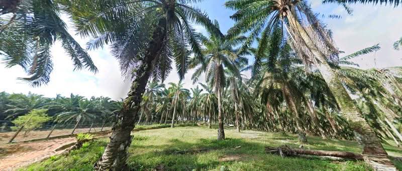 Agricultural Land for Sale in Bentong (Pahang) - CS Tan - PropertyGuru.com.my
