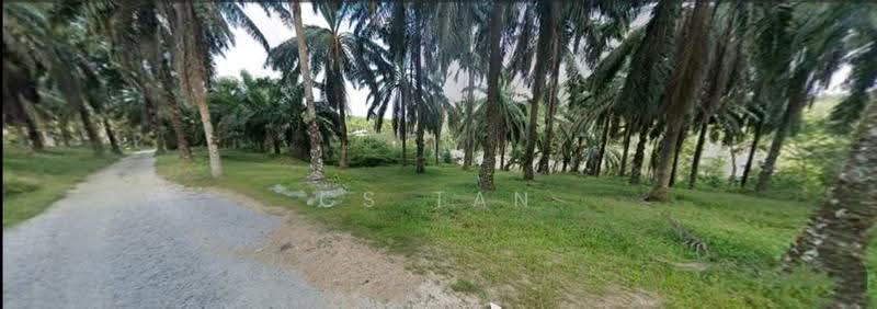 Agricultural Land for Sale in Bentong (Pahang) - CS Tan - PropertyGuru.com.my