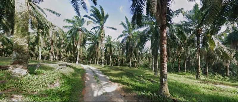 Agricultural Land for Sale in Bentong (Pahang) - CS Tan - PropertyGuru.com.my