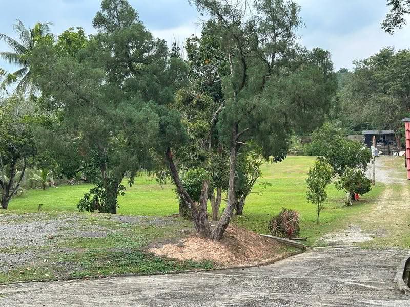 Agricultural Land for Sale in Kampung Sungai Merab Luar (Dengkil) - Najah Kadir - Exterior - PropertyGuru.com.my