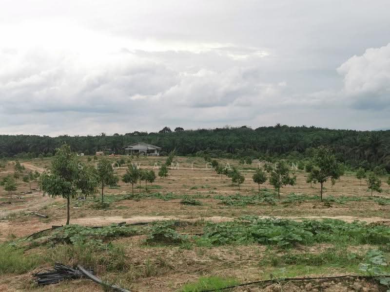 Tanah Pertanian untuk Dijual di Yong Peng (Johor) - Seowamiga Ten - PropertyGuru.com.my
