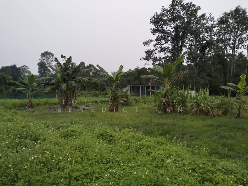 Bungalow House for Sale in Banting (Banting) - Johnny Sean Benedict Tan - Exterior - PropertyGuru.com.my