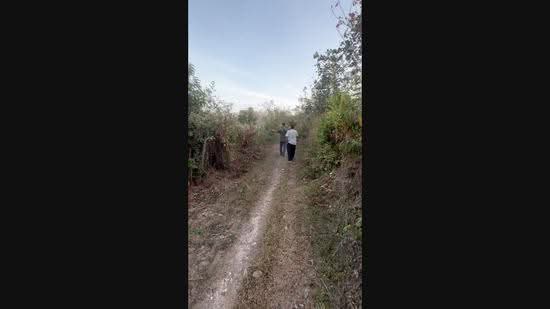 Tanah Pertanian untuk Dijual di Pokok Sena (Kedah) - Zarl Ahmad - PropertyGuru.com.my