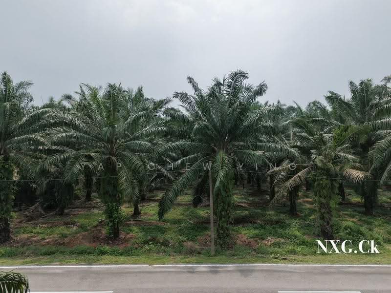Tanah Pertanian untuk Dijual di Kampung Sri Cheeding (Jenjarom) - Yap Chew Ying - PropertyGuru.com.my