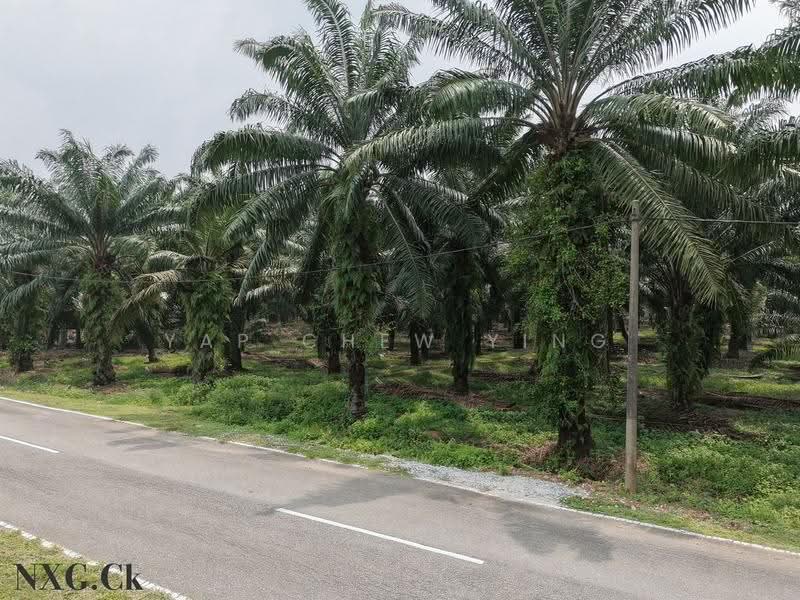 Tanah Pertanian untuk Dijual di Kampung Sri Cheeding (Jenjarom) - Yap Chew Ying - PropertyGuru.com.my