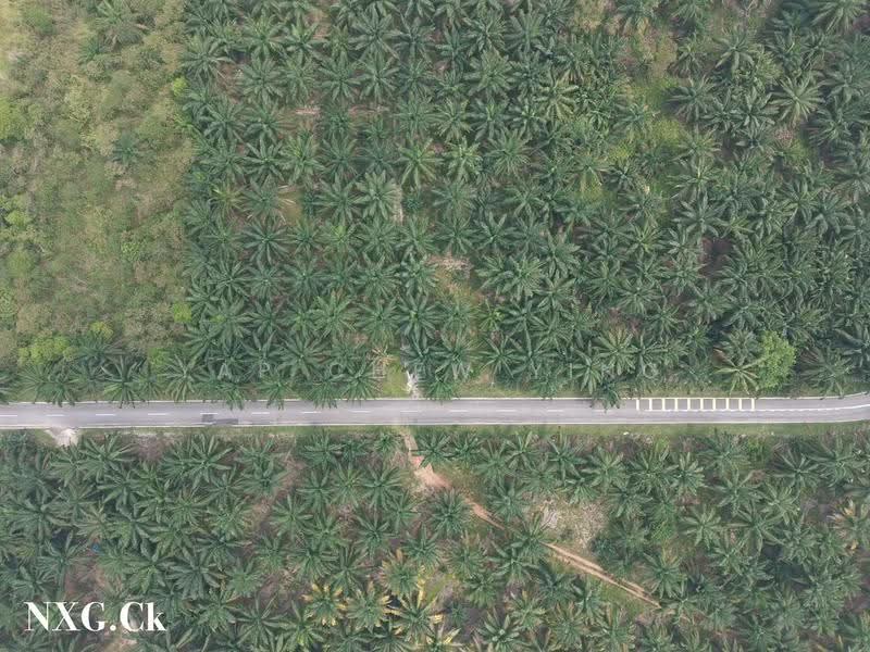 Tanah Pertanian untuk Dijual di Kampung Sri Cheeding (Jenjarom) - Yap Chew Ying - PropertyGuru.com.my