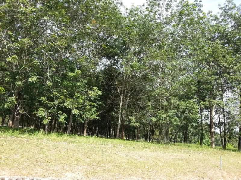 Bungalow Land for Sale in College Heights Garden Resort (Setul) - Selene Chong - PropertyGuru.com.my