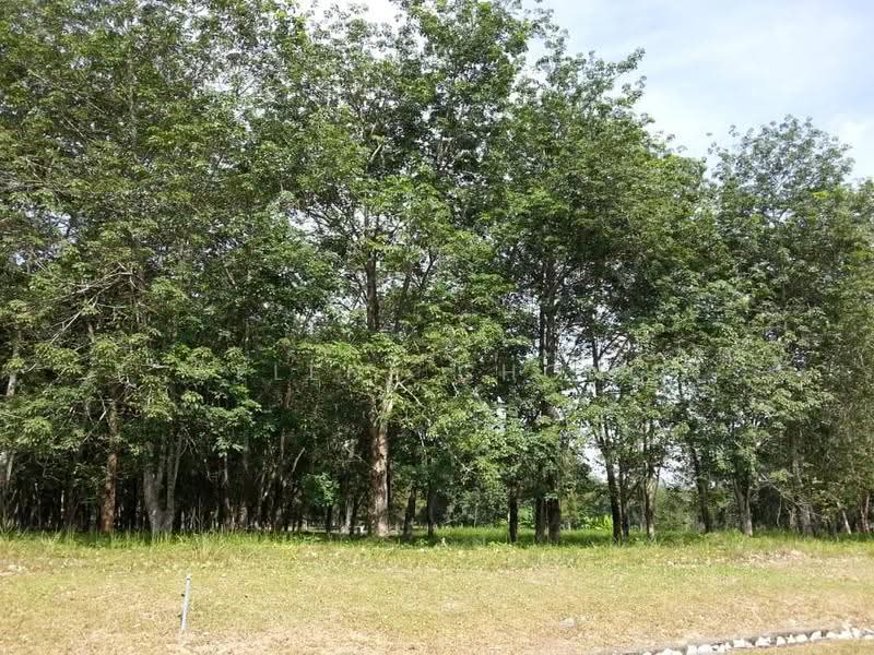 Bungalow Land for Sale in College Heights Garden Resort (Setul) - Selene Chong - PropertyGuru.com.my