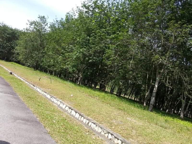 Bungalow Land for Sale in College Heights Garden Resort (Setul) - Selene Chong - PropertyGuru.com.my