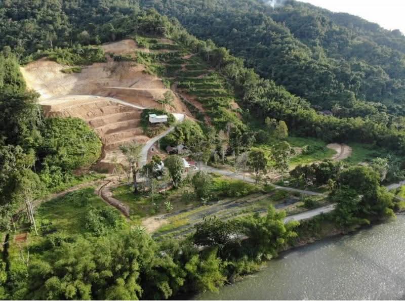 Tanah Pertanian untuk Dijual di Tamparuli (Sabah) - Alison Vun - Exterior - PropertyGuru.com.my