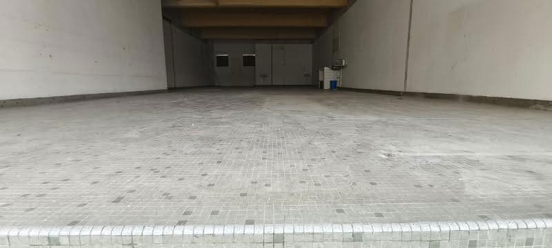 Shop for Rent in SS2 (Petaling Jaya) - Suzanne Lu - PropertyGuru.com.my