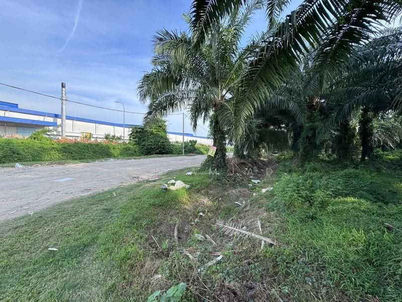 Agricultural Land for Sale in Kampung Bukit Changgang (Tanjong Duabelas) - Wan Amjad - PropertyGuru.com.my