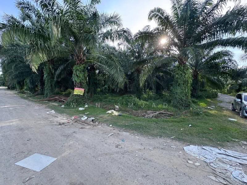 Agricultural Land for Sale in Kampung Bukit Changgang (Tanjong Duabelas) - Wan Amjad - PropertyGuru.com.my