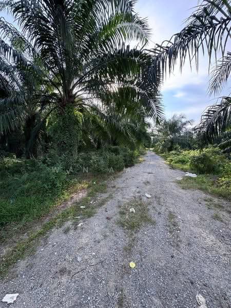Agricultural Land for Sale in Kampung Bukit Changgang (Tanjong Duabelas) - Wan Amjad - PropertyGuru.com.my