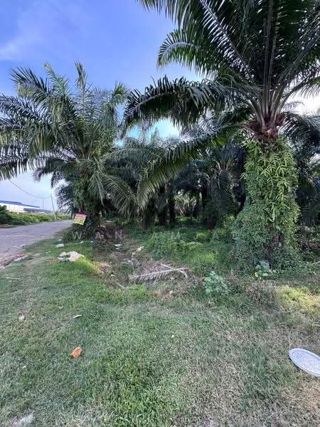 Agricultural Land for Sale in Kampung Bukit Changgang (Tanjong Duabelas) - Wan Amjad - PropertyGuru.com.my
