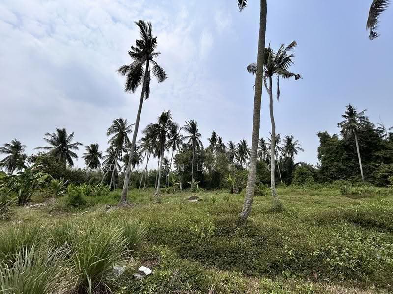 Agricultural Land for Sale in Kampung Tambak Jawa (Jeram) - Daniel Kok - Exterior - PropertyGuru.com.my