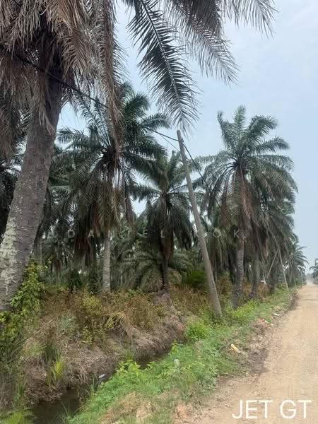 Agricultural Land for Sale in Kampung Tambak Jawa (Jeram) - Daniel Kok - PropertyGuru.com.my