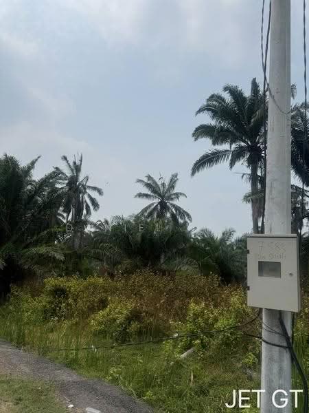 Agricultural Land for Sale in Kampung Tambak Jawa (Jeram) - Daniel Kok - PropertyGuru.com.my