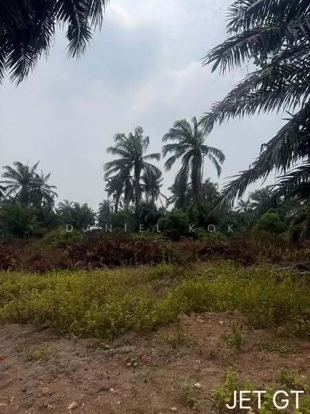 Agricultural Land for Sale in Kampung Tambak Jawa (Jeram) - Daniel Kok - PropertyGuru.com.my