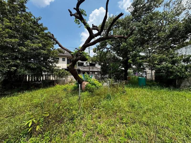 2-storey Terraced House for Sale in Seksyen 24 (Shah Alam) - Muin Mn - Garden - PropertyGuru.com.my