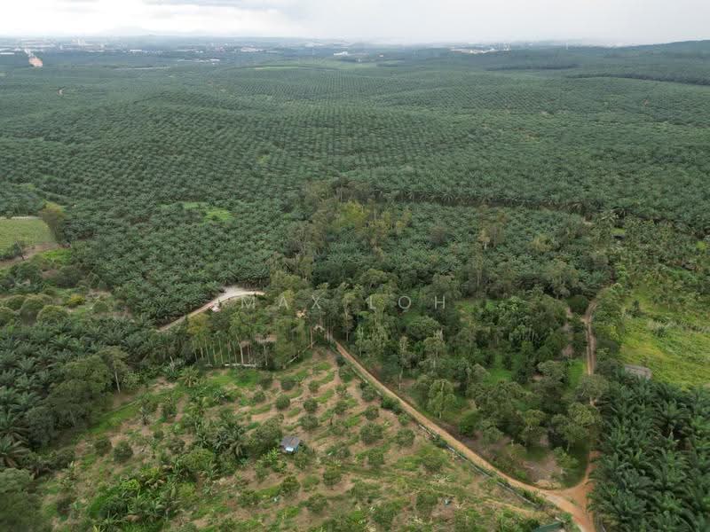 Tanah Pertanian untuk Dijual di Kangkar Pulai (Skudai) - Max Loh - PropertyGuru.com.my
