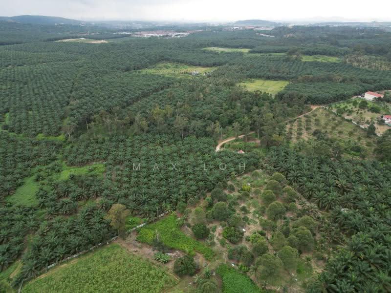 Tanah Pertanian untuk Dijual di Kangkar Pulai (Skudai) - Max Loh - PropertyGuru.com.my