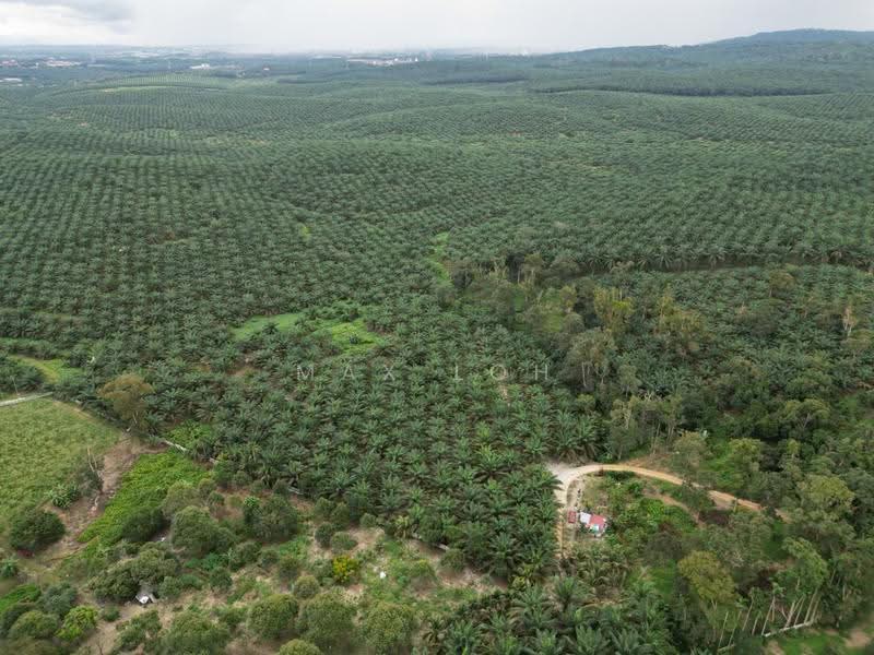 Tanah Pertanian untuk Dijual di Kangkar Pulai (Skudai) - Max Loh - PropertyGuru.com.my