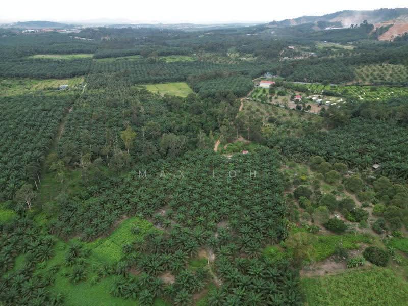 Tanah Pertanian untuk Dijual di Kangkar Pulai (Skudai) - Max Loh - PropertyGuru.com.my