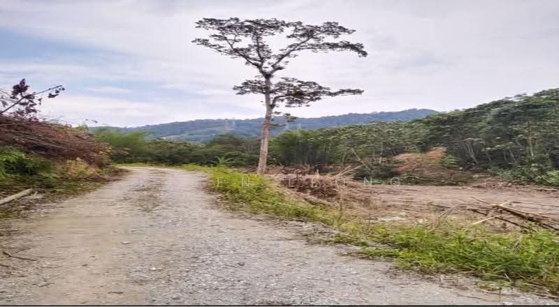 Tanah Pertanian untuk Dijual di Pasir Gudang (Johor) - Karen Leong - PropertyGuru.com.my