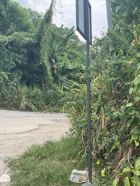 Tanah Pertanian untuk Dijual di Pasir Gudang (Johor) - Karen Leong - PropertyGuru.com.my