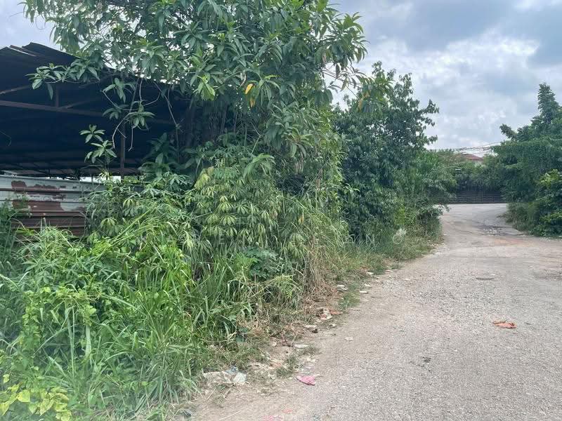 Tanah Pertanian untuk Dijual di Pasir Gudang (Johor) - Karen Leong - PropertyGuru.com.my