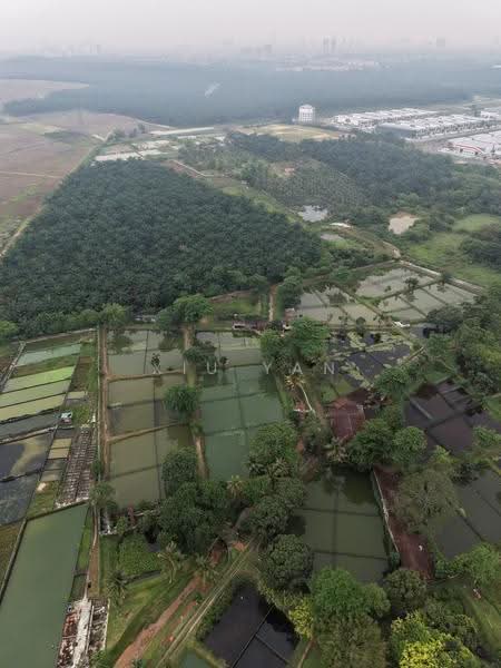 Tanah Pertanian untuk Dijual di Taman Desa Cemerlang (Ulu Tiram) - Xiu Yan - PropertyGuru.com.my