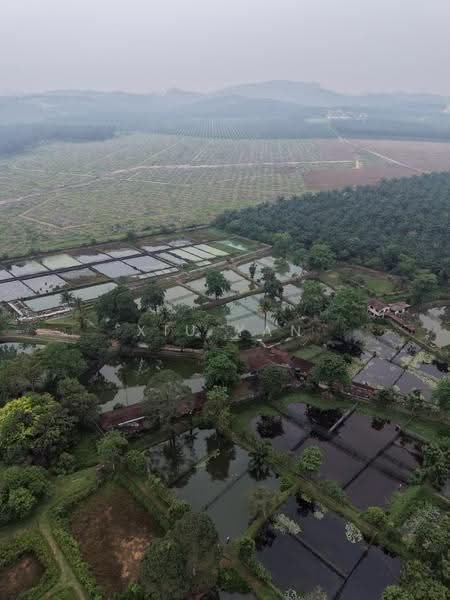 Tanah Pertanian untuk Dijual di Taman Desa Cemerlang (Ulu Tiram) - Xiu Yan - PropertyGuru.com.my