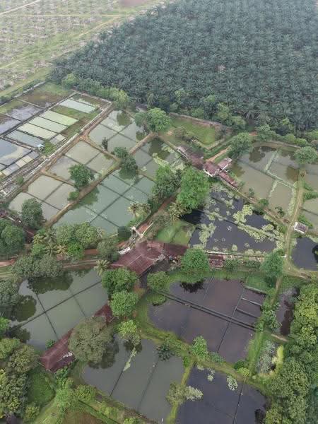 Tanah Pertanian untuk Dijual di Taman Desa Cemerlang (Ulu Tiram) - Xiu Yan - PropertyGuru.com.my