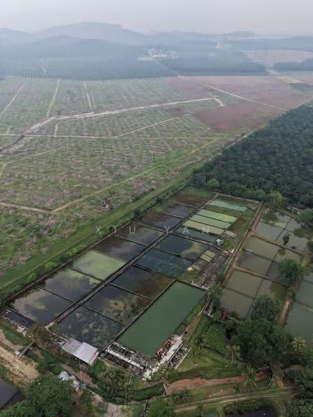 Tanah Pertanian untuk Dijual di Taman Desa Cemerlang (Ulu Tiram) - Xiu Yan - PropertyGuru.com.my