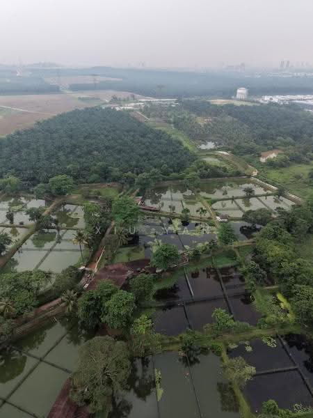 Tanah Pertanian untuk Dijual di Taman Desa Cemerlang (Ulu Tiram) - Xiu Yan - PropertyGuru.com.my