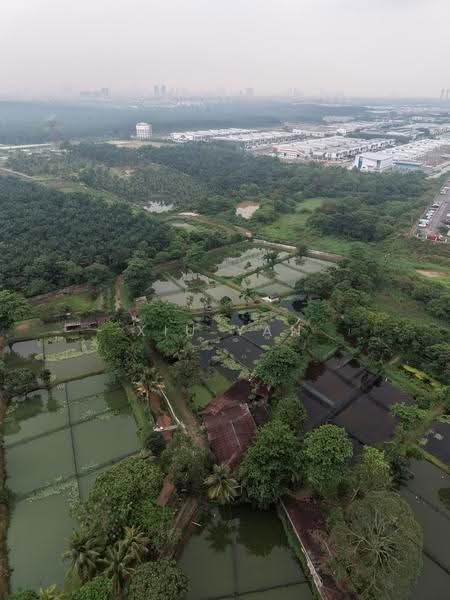 Tanah Pertanian untuk Dijual di Taman Desa Cemerlang (Ulu Tiram) - Xiu Yan - PropertyGuru.com.my
