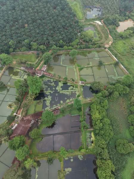 Tanah Pertanian untuk Dijual di Taman Desa Cemerlang (Ulu Tiram) - Xiu Yan - PropertyGuru.com.my