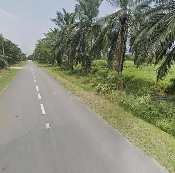 Tanah Pertanian untuk Disewa di Kuala Selangor (Selangor) - Wan Azemi Wan Daud - PropertyGuru.com.my