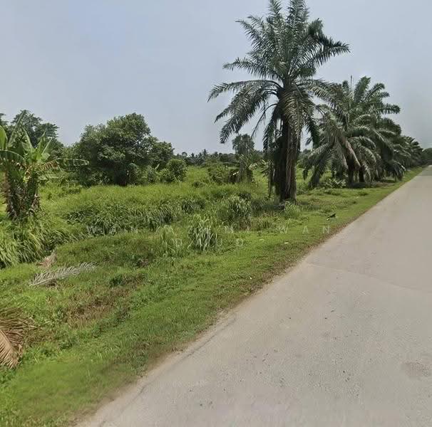 Tanah Pertanian untuk Disewa di Kuala Selangor (Selangor) - Wan Azemi Wan Daud - PropertyGuru.com.my