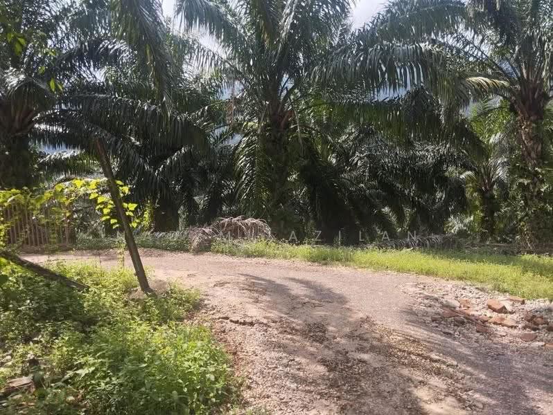 Tanah Pertanian untuk Dijual di Segamat (Johor) - Nadzmi Azilan - PropertyGuru.com.my
