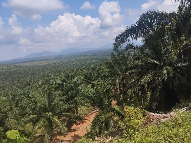 Tanah Pertanian untuk Dijual di Segamat (Johor) - Nadzmi Azilan - PropertyGuru.com.my