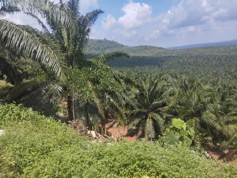 Tanah Pertanian untuk Dijual di Segamat (Johor) - Nadzmi Azilan - PropertyGuru.com.my